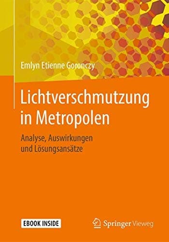 Lichtverschmutzung in Metropolen: Analyse, Auswirkungen und Lösungsansätze (German Edition)