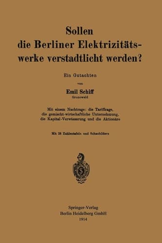 Sollen die Berliner Elektrizitätswerke verstadtlicht werden? Ein Gutachten
