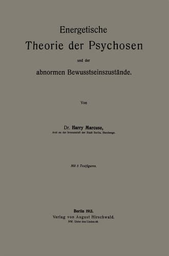 Energetische Theorie der Psychosen und der abnormen Bewusstseinszustände (German Edition)