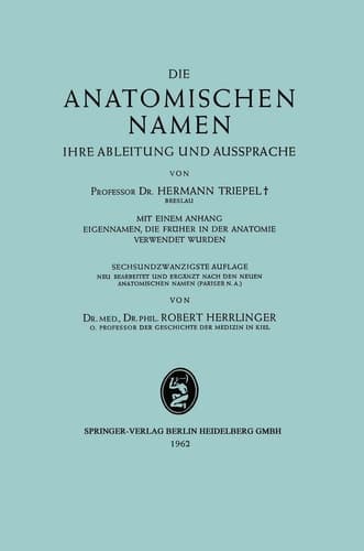 Die Anatomischen Namen Ihre Ableitung und Aussprache