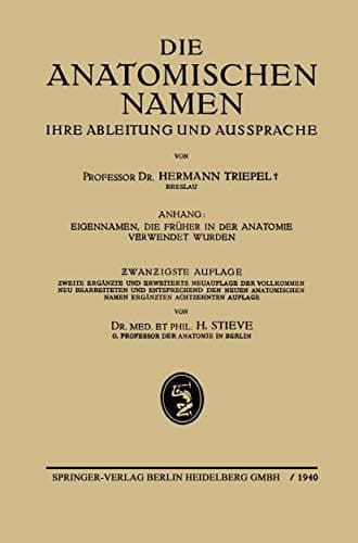 Die Anatomischen Namen Ihre Ableitung und Aussprache