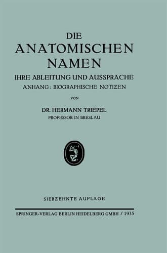 Die Anatomischen Namen Ihre Ableitung und Aussprache