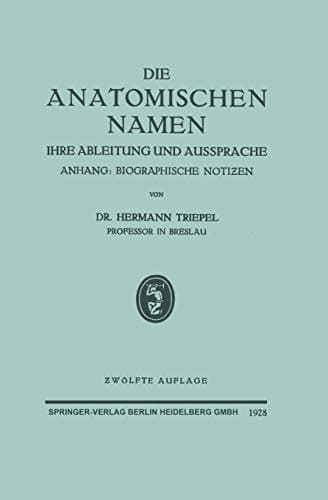 Die Anatomischen Namen Ihre Ableitung und Aussprache