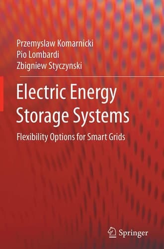 Electric Energy Storage Systems Flexibility Options for Smart Grids