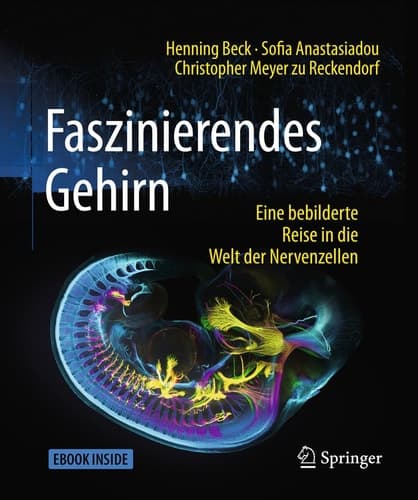 Faszinierendes Gehirn: Eine bebilderte Reise in die Welt der Nervenzellen (German Edition)