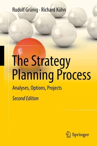 The Strategy Planning Process Analyses, Options, Projects