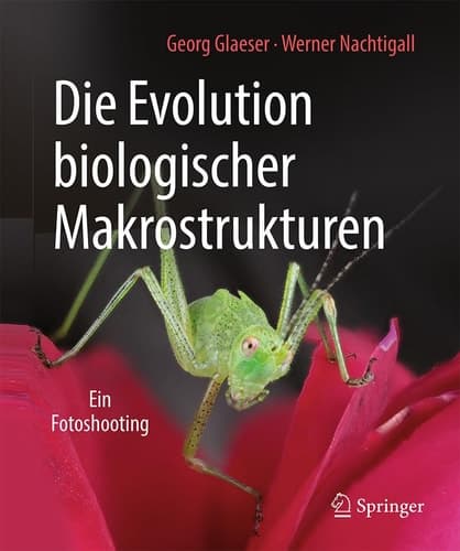 Die Evolution biologischer Makrostrukturen Ein Fotoshooting