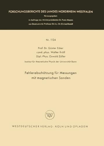 Fehlerabschätzung für Messungen mit magnetischen Sonden (German Edition)