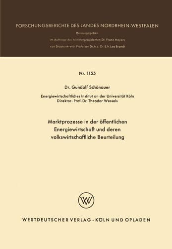 Marktprozesse in der öffentlichen Energiewirtschaft und deren volkswirtschaftliche Beurteilung