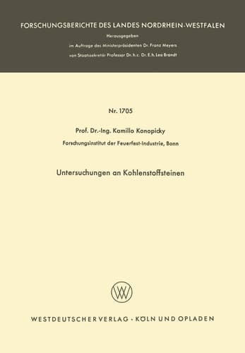 Untersuchungen an Kohlenstoffsteinen