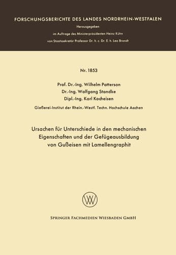 Ursachen für Unterschiede in den mechanischen Eigenschaften und der Gefügeausbildung von Gußeisen mit Lamellengraphit (German Edition)