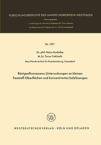 Röntgenfluoreszenz-Untersuchungen an kleinen Feststoff-Oberflächen und konzentrierten Salzlösungen