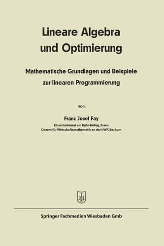Lineare Algebra und lineare Optimierung: Mathematische Grundlagen und Beispiele zur linearen Programmierung (German Edition)