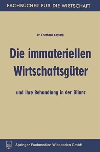 Die immateriellen Wirtschaftsgüter und ihre Behandlung in der Bilanz