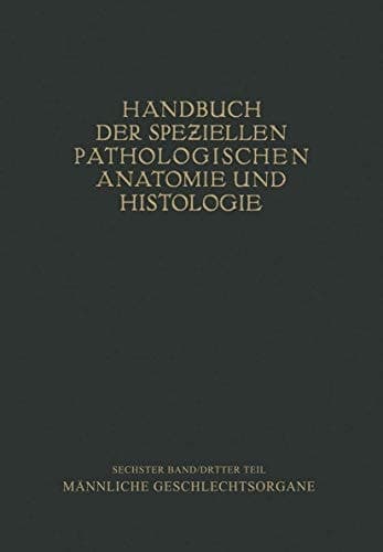 Harnorgane Männliche Geschlechtsorgane