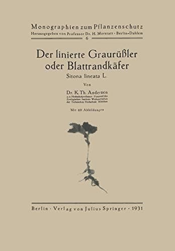 Der linierte Graurüßler oder Blattrandkäfer Sitona lineata L.
