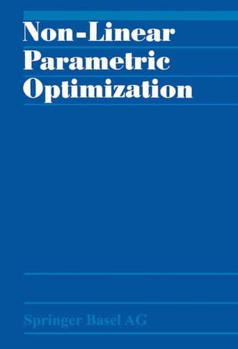 Non-Linear Parametric Optimization