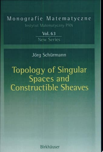 Topology of Singular Spaces and Constructible Sheaves