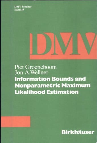 Information Bounds and Nonparametric Maximum Likelihood Estimation