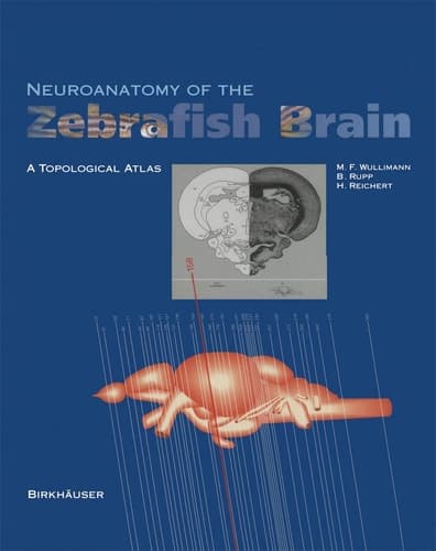 Neuroanatomy of the Zebrafish Brain A Topological Atlas