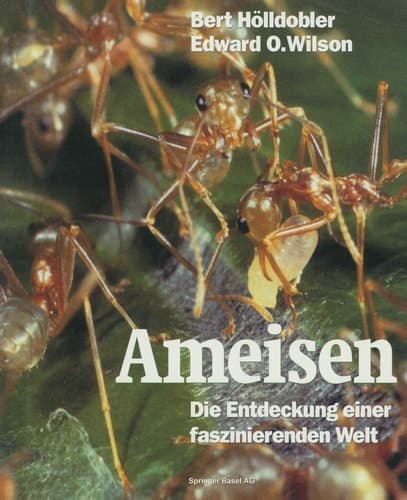 Ameisen Die Entdeckung einer faszinierenden Welt