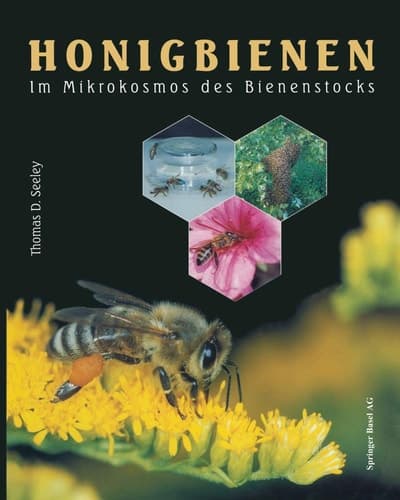 Honigbienen Im Mikrokosmos des Bienenstocks
