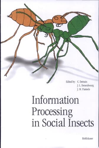 Information Processing in Social Insects