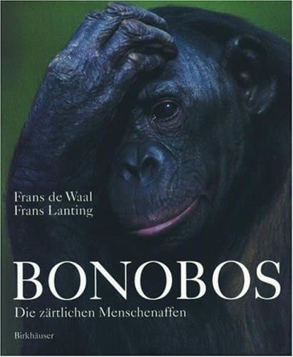 Bonobos Die Zärtlichen Menschenaffen