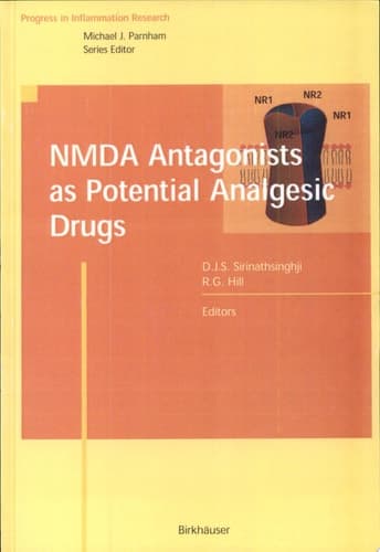 Nmda Antagonists As Potential Analgesic Drugs