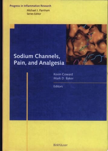 Sodium Channels, Pain, and Analgesia