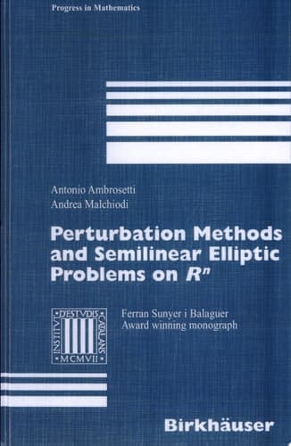Perturbation Methods and Semilinear Elliptic Problems on R^n