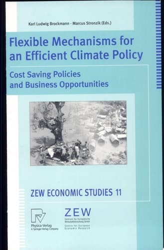 Flexible Mechanisms for an Efficient Climate Policy Cost Saving Policies and Business Opportunities
