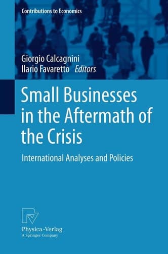 Small Businesses in the Aftermath of the Crisis International Analyses and Policies