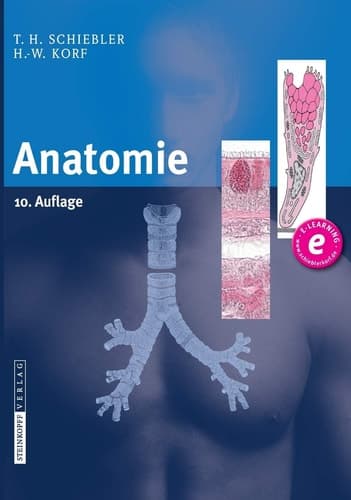 Anatomie Histologie, Entwicklungsgeschichte, makroskopische und mikroskopische Anatomie, Topographie