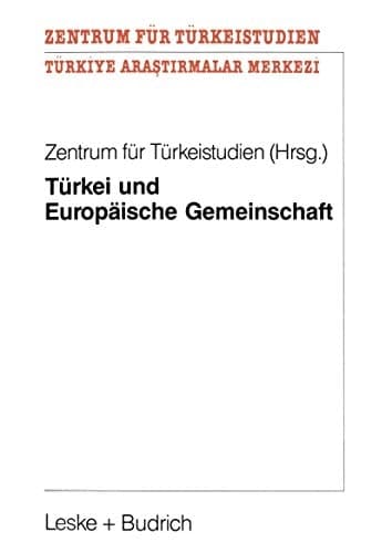 Türkei und Europäische Gemeinschaft Eine Untersuchung zu positiven Aspekten eines potentiellen EG-Beitritts der Türkei für die Europäische Gemeinschaft