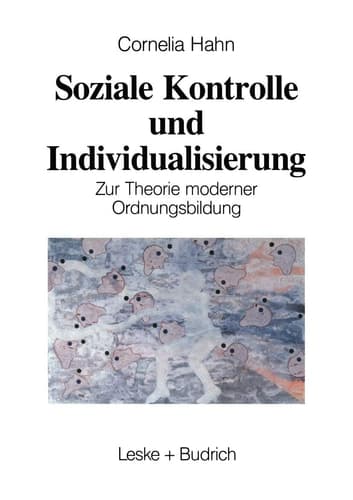Soziale Kontrolle und Individualisierung Zur Theorie moderner Ordnungsbildung