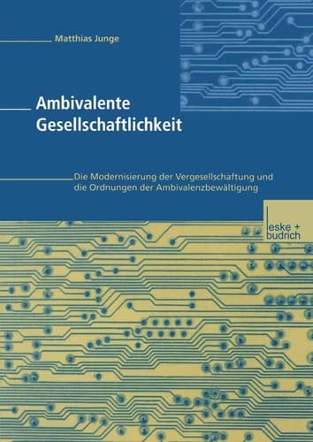 Ambivalente Gesellschaftlichkeit Die Modernisierung der Vergesellschaftung und die Ordnungen der Ambivalenzbewältigung