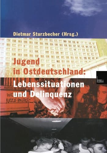 Jugend in Ostdeutschland: Lebenssituationen und Delinquenz (German Edition)