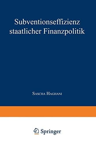 Subventionseffizienz staatlicher Finanzpolitik
