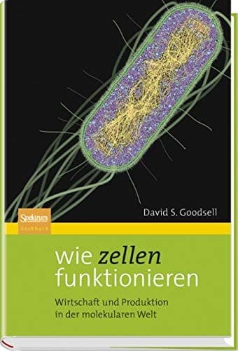 Wie Zellen funktionieren Wirtschaft und Produktion in der molekularen Welt