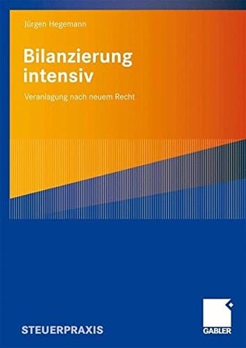 Bilanzierung intensiv Veranlagung nach neuem Recht