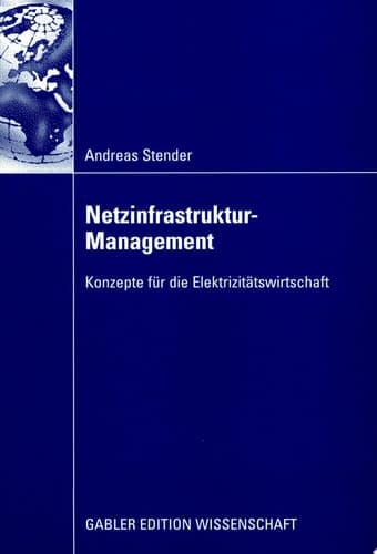 Netzinfrastruktur-Management Konzepte für die Elektrizitätswirtschaft