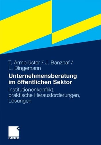 Unternehmensberatung im öffentlichen Sektor Institutionenkonflikt, praktische Herausforderungen, Lösungen