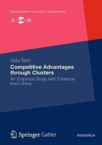 Competitive Advantages through Clusters An Empirical Study with Evidence from China