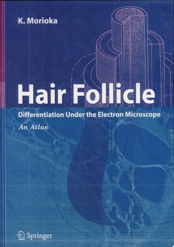 Hair Follicle Differentiation under the Electron Microscope - An Atlas
