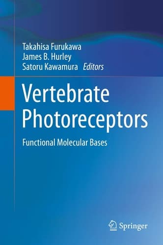 Vertebrate Photoreceptors Functional Molecular Bases