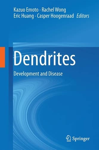 Dendrites Development and Disease