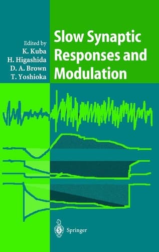 Slow Synaptic Responses and Modulation