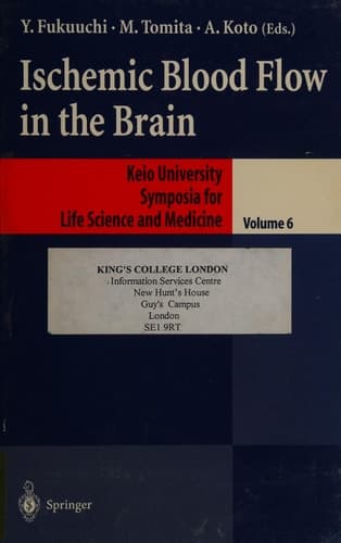 Ischemic Blood Flow in the Brain