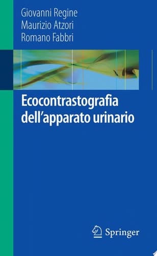 Ecocontrastografia dell'apparato urinario